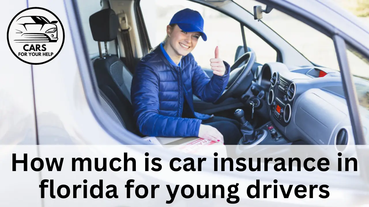 Cheapest Insurance Companies That Young Drivers Can Approach In Florida how much is car insurance in florida for young drivers
