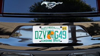 How To Locate The Owner Of A License Plate For Free How To Locate The Owner Of A License Plate For Free
